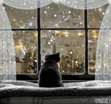 Husan Window Cat Window GIF - Husan Window Cat Window GIFs
