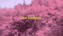 all day the distance kills me it kills me the distance kills me