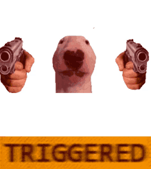 triggered pistol angry dog double