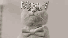 Mog7 Mog GIF - Mog7 Mog Rog GIFs