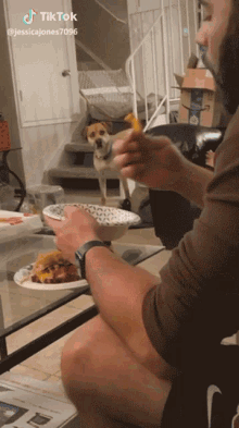 Stare Hungry GIF