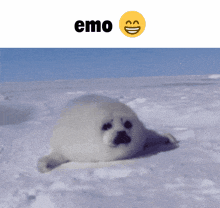 heavymetalboxmansgifcollection heavymetalboxmansemocollection emo seal seal yes emo
