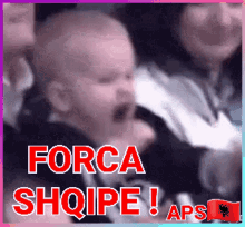 Shqiponjaaps Shqipe GIF - Shqiponjaaps Shqipe Albanian GIFs
