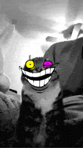 a black and white photo of a cat with a cartoon face on its face
