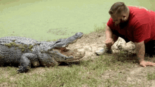 60second Docs Sixty Second Documentaries GIF - 60second Docs Sixty Second Documentaries Alligator GIFs