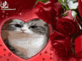 a cat is sitting in a heart shaped frame with red roses in the background .