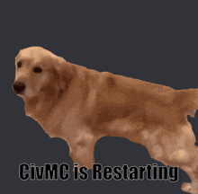 Civmc Restarting GIF - Civmc Restarting Server GIFs