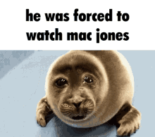 He Was Forced To Watch Mac Jones Mccorkle GIF