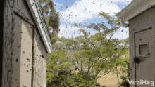 Swarm Buzz GIF - Swarm Buzz Invasion GIFs