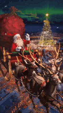 Merry Christmas Reindeer GIF - Merry Christmas Reindeer Sleigh GIFs