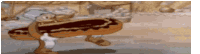 a cartoon character is carrying a large chocolate donut .