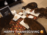 Thanksgiving Happy Cats GIF - Thanksgiving Happy Cats Love GIFs