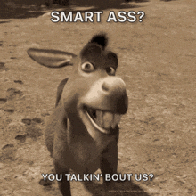Smart Ass You Talking To Me GIF - Smart Ass Ass You Talking To Me GIFs