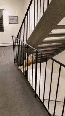 Cat Climbing Stairs GIF - Cat Climbing Stairs Cat Stairs GIFs