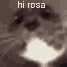Hi Rosa GIF - Hi Rosa GIFs