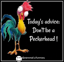 a picture of a rooster with the caption today 's advice : don 't be a peckerhead !