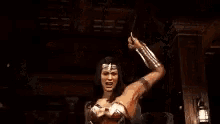Fighting Wonder Woman GIF - Fighting Wonder Woman Sword GIFs