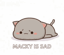 sad cat cute