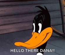 Looney Tunes Daffy Duck GIF