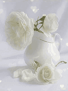 white roses white flowers hearts
