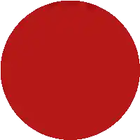 a red circle on a white background with a black border