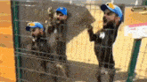 a man in a blue hat is behind a fence with his head visible