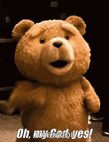 a teddy bear says " oh jonesaco byes " in white letters