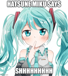 hatsune miku says shhhh with a picture of her
