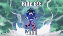 Rule 69 GIF - Rule 69 Anal GIFs