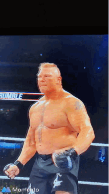 Lesnar Brock GIF - Lesnar Brock F5 GIFs