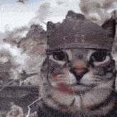 a close up of a cat wearing a crown