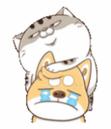 ami fat cat stop crying im here dont worry
