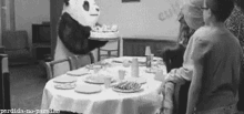 Panda Enojado De Cumpleaños GIF - Panda Throw Cake GIFs