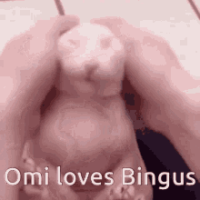 Omi Bingus Omi Bread GIF - Omi Bingus Omi Bread Bingus GIFs