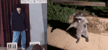Jungkook Standing Raccoon Standing GIF - Jungkook Standing Raccoon Standing Jungkook Froze GIFs