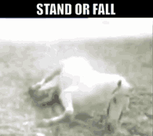 Stand Or Fall The Fixx GIF - Stand Or Fall The Fixx New Wave GIFs