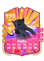 a card with a cat on it and the name fluffy