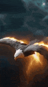 a bald eagle is flying through the air with flames coming out of its wings .