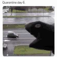 Self Quarantine Traffic GIF - Self Quarantine Traffic Eating Cars GIFs