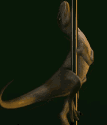 Sexy Raptor GIF - Sexy Raptor Poledancing GIFs