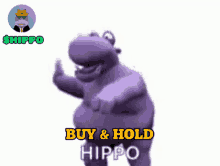 Hippo Hippocoin GIF