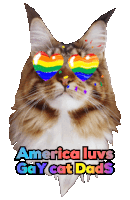 a cat wearing rainbow glasses with the words america luvs gay cat dads