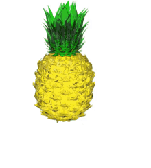 pineapple asthetic circles circle