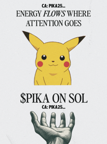 Pika25sol GIF