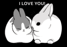rabbit love you