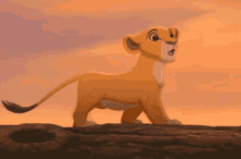 Nala Lion King GIF