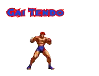 a pixel art of a fighter with the words gai tendo behind him