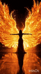 a woman in a long dress with fire wings is standing in the dark .
