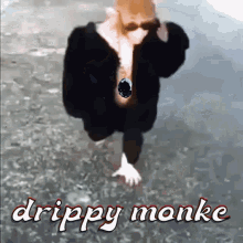 Amethyst Monkey Drippy Monkey GIF - Amethyst Monkey Drippy Monkey Crypto Gemology GIFs