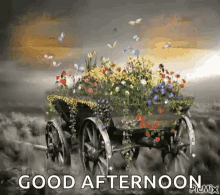 Good Afternoon Greetings GIF - Good Afternoon Greetings Butterflies GIFs